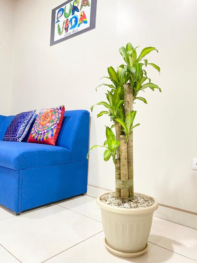 Pura Vida Apartment. 5 Min From Airport Алахуэла Экстерьер фото